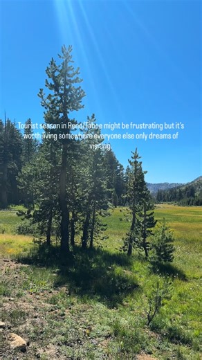 NORTHERN NEVADA REALTOR® - BETH SMIDDY on Instagram: "Living in Reno/Tahoe is one of those things that’s hard to explain until you experience it. It’s not just where you live… it’s how your days feel. Why living in the Reno area is so worth it: 01. The views from the East Shore Trail never get old 02. You can’t go to Hub Coffee Roasters without running into at least three people you know 03. Walks through Caughlin Ranch that somehow feel calm and lively at the same time 04. Local restaurants lik