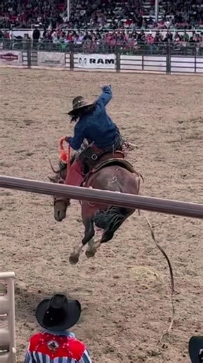 There’s always that one they call the bully. #Wor136 #Worldsoldestrodeo #PrescottFrontierdays #Prescottaz #RodeoLife #Arizona #ArizonaRodeo #rodeo #BestRodeo #saddlebroncriding and footage by Northern AZ Social @dwerking2000