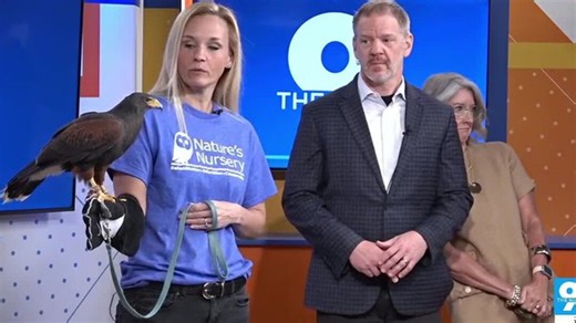 Fly Into Nature's Nursery! | Haystack News