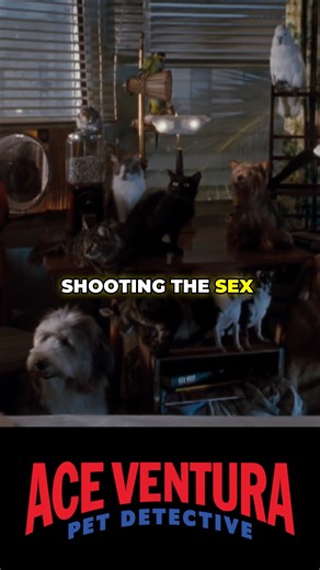 Facts you didn't know about Ace Ventura Pet Detective #movies #moviefact #moviefacts #MovieTrivia #aceventura #90smovie #90smovies #comedymovie #comedymovies #jimcarrey | Neon Light Movies