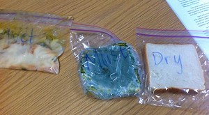 Prosthetic Arm Wins Best in Show at Science Fair