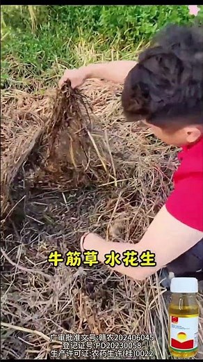 萬能除草劑配方，打一次管一季，一棵雜草都沒有 # 農業種植 # 除草劑