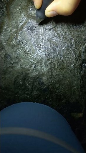 Fossil Preparation | Devonian Jawless Fish (400 million years old)