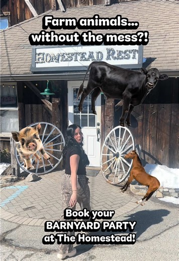 🤠🎉 SADDLE UP FOR THE ULTIMATE BARNYARD BASH! 🎉🤠 Looking for a party that’s anything but ordinary? Our Ranch-Style Party Package brings the farm to YOU — with live animals and all the country charm! 🐮🐷🦙 ✨ Choose 2 types of party animals (cows, piglets, alpacas & more!) ✨ 3-hour party experience ✨ Private party room ✨ Bring your own decorations 💰 $300 for 3 hours ➕ $75 per extra hour 🍽 Food is a separate charge 👨‍👩‍👧‍👦 10 person minimum This is perfect for birthdays, celebrations, or 