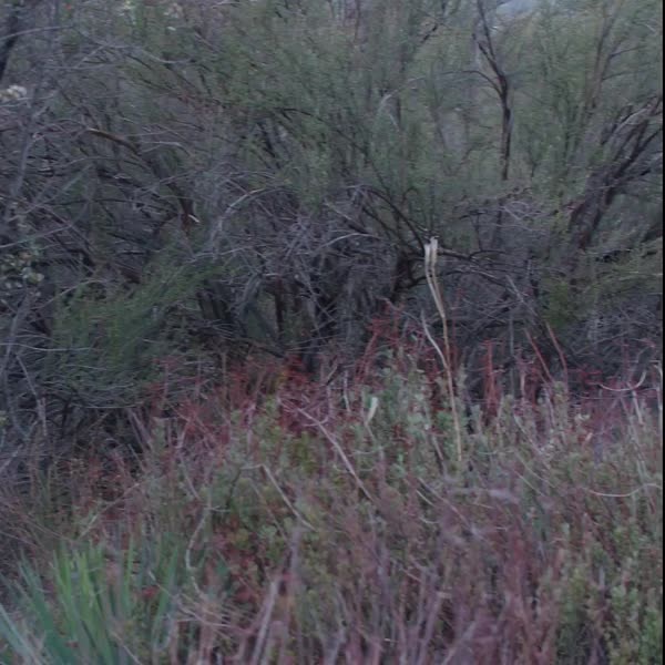 Everyone’s heard of the Navy SEALs. But does anyone (besides them) really know what they do? 🤔 Some of their job description is top-secret, but we CAN tell you that they: • Conduct insertions and extractions by sea, air or land • Capture high-value enemy personnel around the world • Collect information through special reconnaissance missions • Carry out small-unit missions against military targets • Perform underwater reconnaissance Save this knowledge on the day-to-day responsibilities of a SE