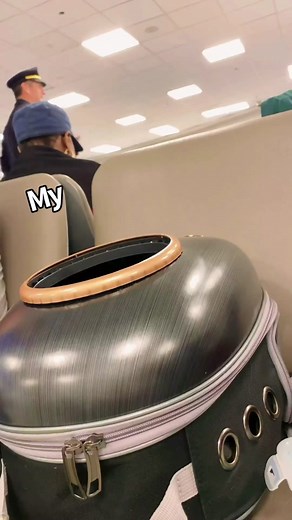 Miffy: The World Traveling Bunny | TikTok