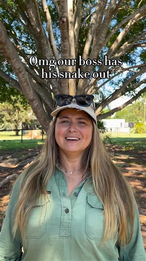 Get up close and personal with Mick and his snake…. Boss, the Olive python #explorepage #fyp #wildlife #animals #snakes | Wildlife Unleashed