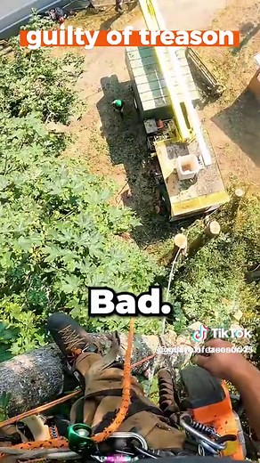 Guilty of treeson (@guilty.of.treeson45)’s videos with original sound - Guilty of treeson