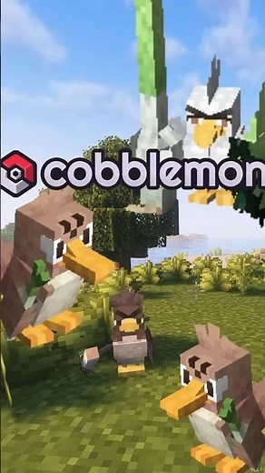Como evolucionar a Farfetch´d de galar!! #cobblemon #minecraft #pokemon #shortvideo #viralvideo