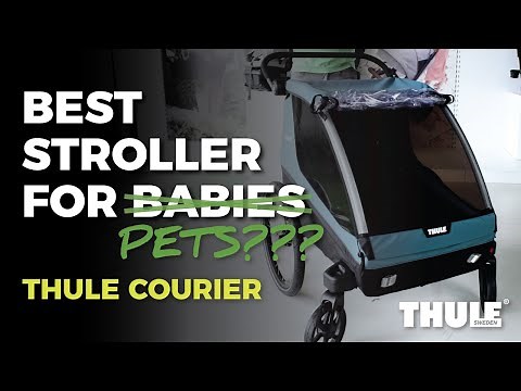 Thule Courier Review | Double Strollers | Best Strollers 2022 | Magic Beans Reviews