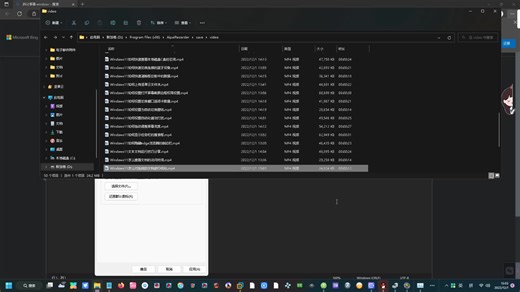 Windows11如何打开应用访问文件系统权限