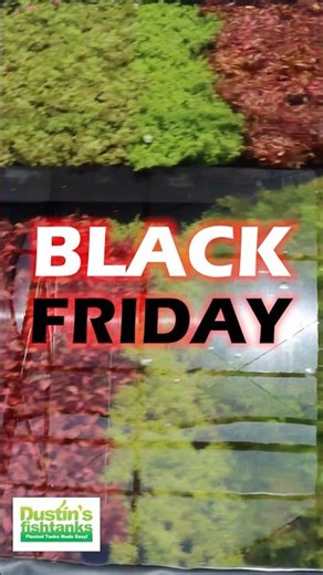 BLACK FRIDAY 100 SPECIES SALE