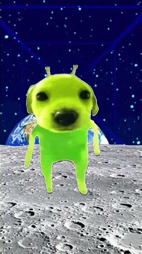 Alien dawg ;)