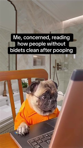 pls stop wiping until you see blood that is NOT normal 😭 #bidet #luxebidet #bathroom #poop #pooping