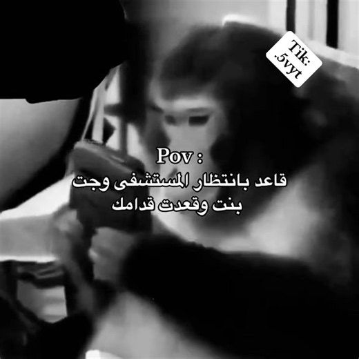 يعد برج المملكة واحدًا من أبرز المعالم المعمارية في الرياض، ورمزا حديثا يعكس تطور المملكة العربية السعودية العمرانية منذ افتتاحه، أصبح البرج وجهة رئيسية للسكان والزوار، ليس فقط لارتفاعه المميز بل أيضًا لما يقدمه من مرافق متنوعة وتجربة فريدة. تم افتتاح برج المملكة عام 2002، وهو مشروع تابع لشركة شركة المملكة القابضة التي يملكها الأمير الوليد بن طلال. طابقا، ما جعله لفترة طويلة أحد أطول المباني في الشرق الأوسط، تضميمه الفريد الذي يشتبه فتحة القوسة فلي عط أعلاه يميزه عن بقية ناطحات السلحاب، وقد صمد 