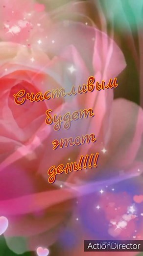 Captivating Floral Close-ups: Roses with Water Droplets