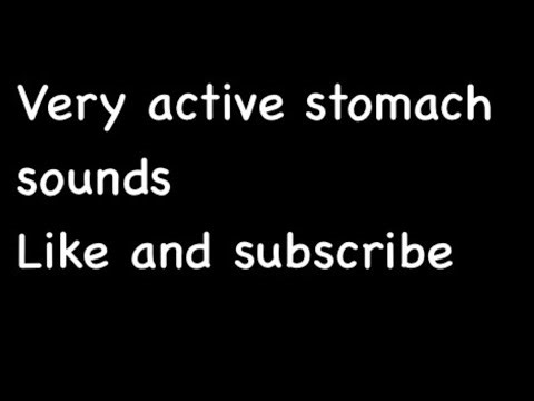 Active stomach belly noises