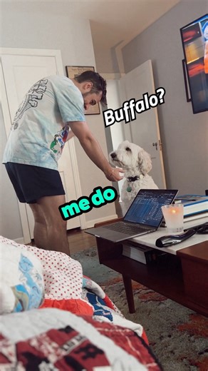 i THinK iTs TiMe fOr aN iNtErVeNtioN 🏈🤑 #talkinganimals #animalvoiceover #NFL #nflmemes #funnyreels #dub #vo #voiceover #dogsofinstagram #dogs 🎥 @regan_moreoh @damagedgoods | Rufus Goodboy