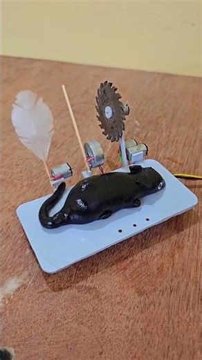 Torture device for mouse. #experiment