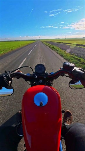 Harley Davidson Forty-Eight | Morning Ride