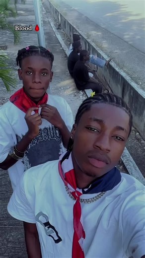 Understanding Blood's Role in the Body