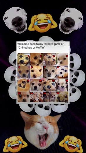 MEMESPLANET360 [ep853] #MemesPlanet360