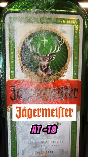 How to drink Jagermeister properly | Best way to drink jagermeister #jägermeister