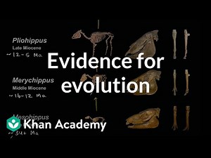 Evidence of Evolution Video Lecture | Biology for EmSAT Achieve