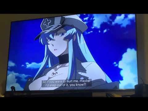 Esdeath kiss Tatsumi