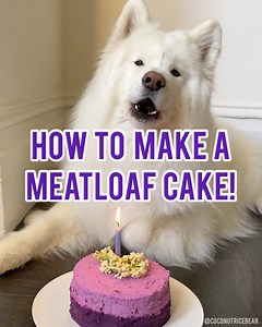 Here's a video recipe of my birthday meatloaf cake! There are some outtakes at the end and video of me eating meat cake the last 2 years. The 2019 cake is the same recipe with regular potato frosting. Recipe: https://ladyandpups.com/2015/09/01/doggy-meatloaf-birthday-cake-for-big-15th/ Hoomans didn't add garlic or shallots. My frosting was made with just purple sweet potato (microwaved) and hand mixed with water to get the right consistency to spread, so no butter. The lighter colored frosting h