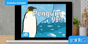 Fun Penguin Quiz