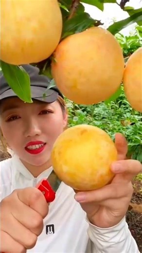 delicious peaches fruits💞💞💞💞//#fruitcrops #setisfaying