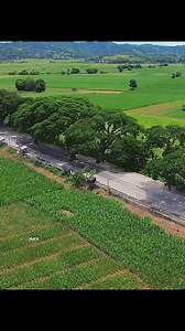 103K views · 2.1K reactions | Somewhere in Alcala Cagayan  | ANEH TV | Facebook