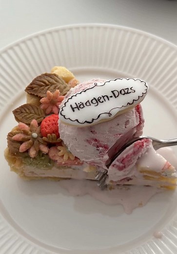 Haagen-Dazs Strawberry Ice Cream Perfection 🍓🍨