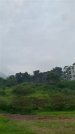 Understanding Large Ocean Waves and Their Risks