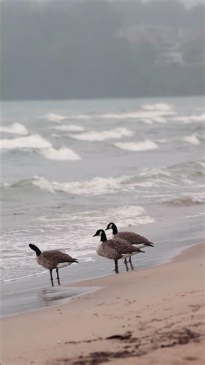 Mental Health & Trans Identity: Understanding Internalized Transphobia 🏳️‍⚧️🧠