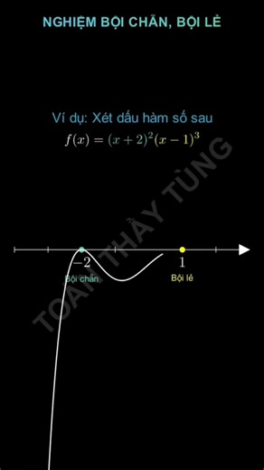 Even and Odd Multiple Roots of a Function. #onlinelearning #maths #education #study #2k9