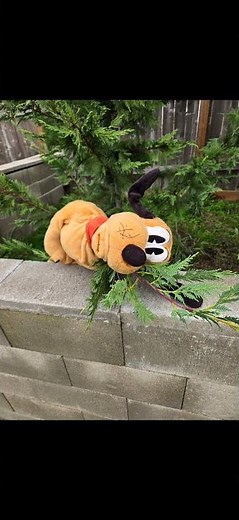 Pluto puppet funny pictures Part 1 #funny