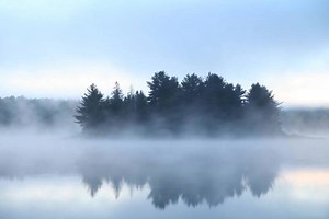Algonquin has always been a place where visitors can become one with nature. As a nature getaway from the everyday it draws people of all ages and abilities in. Check our blog to find some information to make your visit the best! https://blog.parkbus.ca/blog/2019/3/7/destination-algonquin | Parkbus