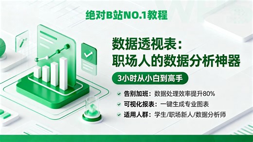 【B站年度好课】3小时搞定Excel数据透视表：零基础入门到精通全教程，手把手教你8大核心操作，避开4个新手必踩的坑，让你从害怕数据到轻松驾驭，彻底告别手
