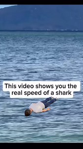 1.3K views · 4K reactions | What the hell!!!! Real speed of a shark…  Follow @creepy.fact for daily scary videos !  • • • • • #sharks #nature #ocean #reels #explore #viralvideos #mindblown #science #sciencefacts #didyouknow #creepycute #horrormovie #jaws #horrorfan #horrorcommunity #creepypasta #spooky #horrorgram #horroraddict #fishinglife #shark | Captain Conrad | Facebook