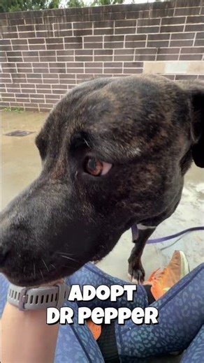 Adopt Dr Pepper