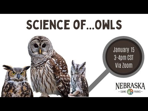 Science of...Owls