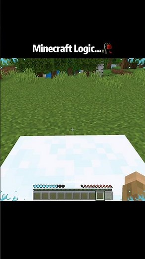 Minecraft Bedrock Edition Logic