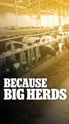 Keep fresh, clean water flowing for up to 500 beef cattle or 250 dairy cattle with a low-maintenance, long-lasting WaterMaster 1400. | Ritchie Automatic Waterers