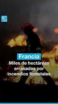 Huir y sobrevivir: la tragedia por los incendios en España y Francia