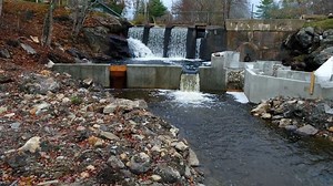 New fish ladder aims to get more alewives to spawning grounds on Pemaquid River