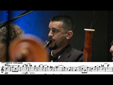 The Most Beautifull Clarinet Excerpts EVER Part 1