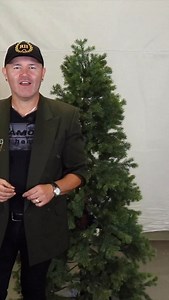 Nutcracker Christmas Tree 🎄 Traditional colors are my favorite to decorate with for the holidays and the Nutcracker theme lends it self and it’s perfect for that! Ribbon 🎀 , sparkling ✨ stems and forgoes ornaments create this beautiful #christmas tree. . . . #christmasdecor #christmastree #christmas2025 #christmasdecorations🎄 #christmastime | Ramon - at HOME