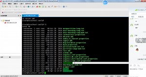 06-MyCat-安装MyCat